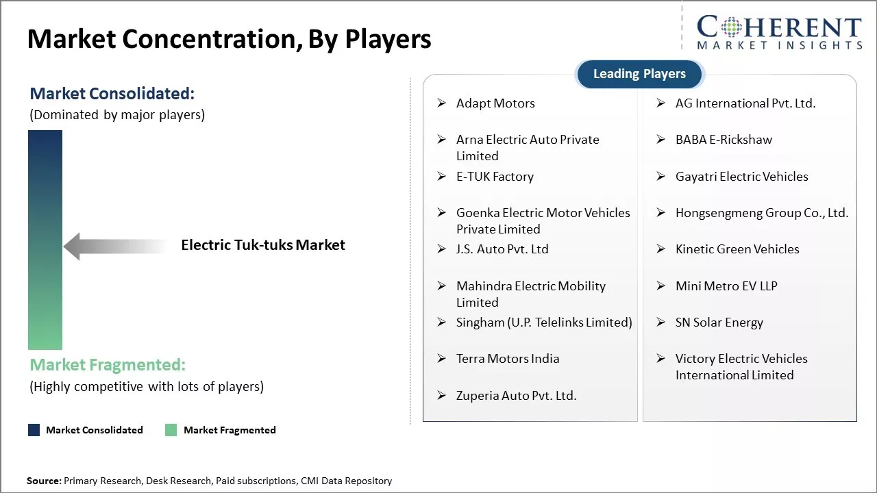 Electric Tuk-tuks Market Concentration, By Players